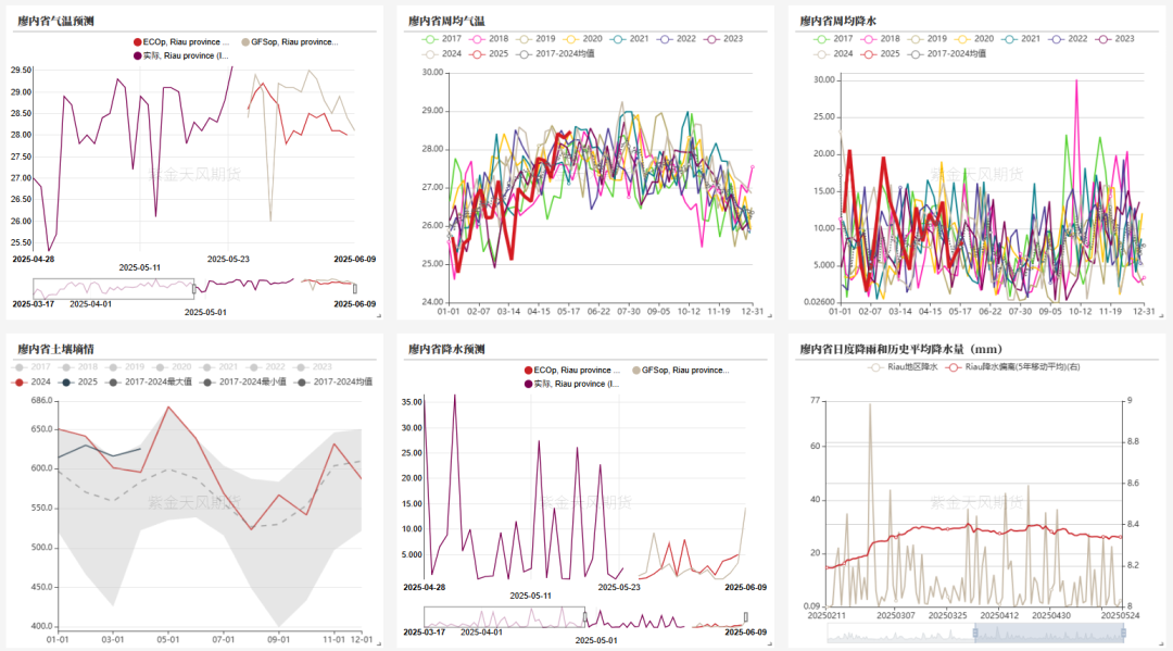数据来源：路透，紫金天风期货研究所