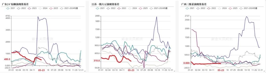 数据来源：我的农产品，紫金天风期货研究所